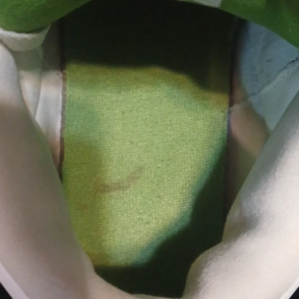 Air Jordan 3 Retro (CHLOROPHYLL) Mens-11.5 ,100% Authentic! - Picture 8 of 12